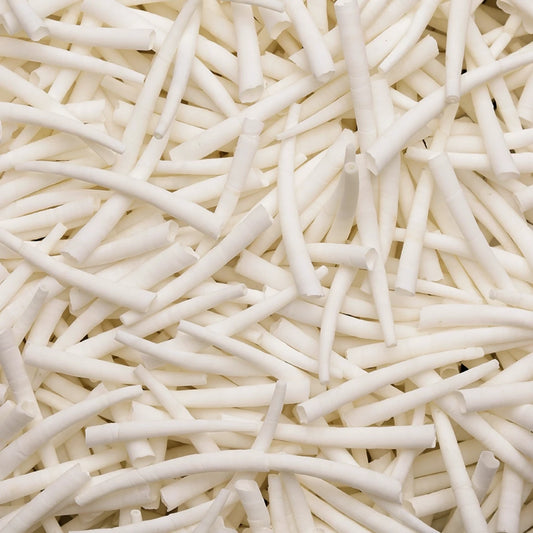 1-1.5" Inch *White/Ivory* Natural Dentalium Shell Smooth Unsorted (25 pcs) Sundaylace Creations & Bling