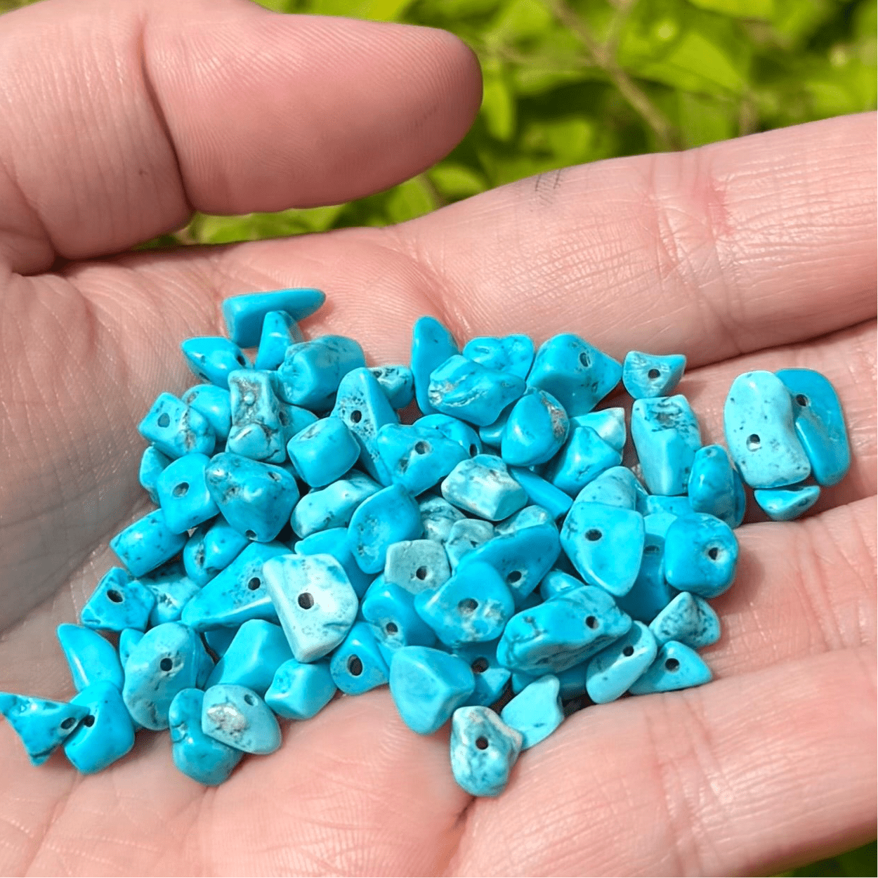 Semi-Precious Chips 22g - Turquoise Blue Pearl Beads