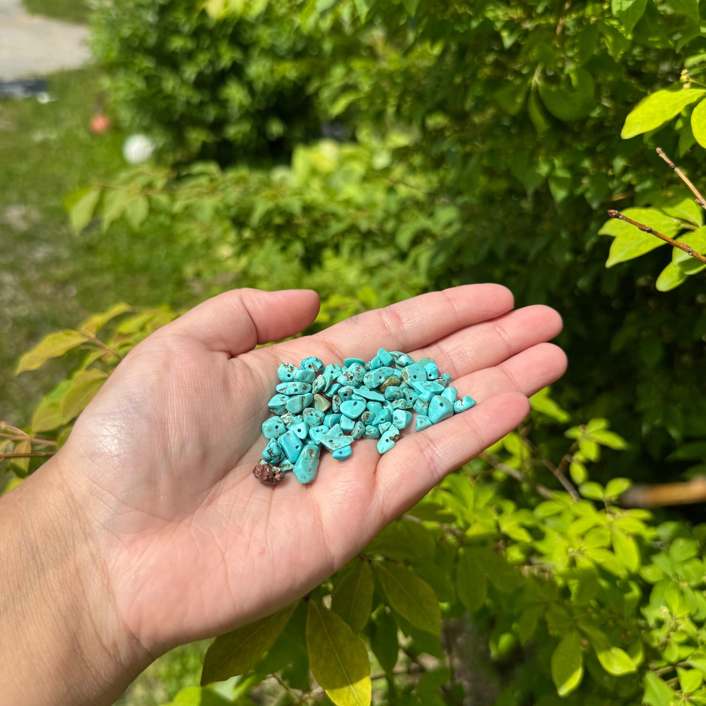 Semi-Precious Chips 22g - Turquoise Green Pearl Beads