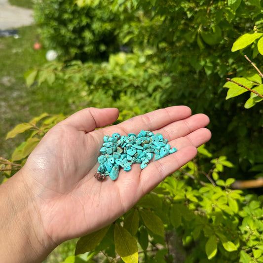 Semi-Precious Chips 22g - Turquoise Green Pearl Beads