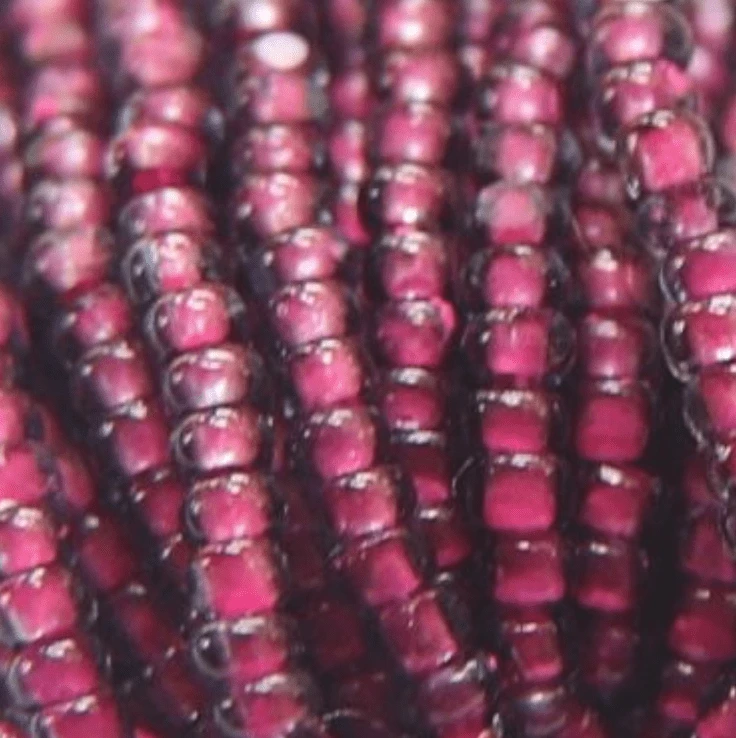 11/0 Charlotte Cut SHEEN India Seed Bead-  Black Diamond Neon Pink Lined *10g Hank* Charlotte Cut Seedbeads