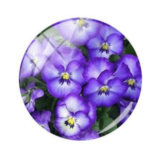 Sundaylace Creations & Bling Resin Gems 15mm Purple with yellow center Flowers Floral Acrylic Round Glass, Glue on, Resin Gem
