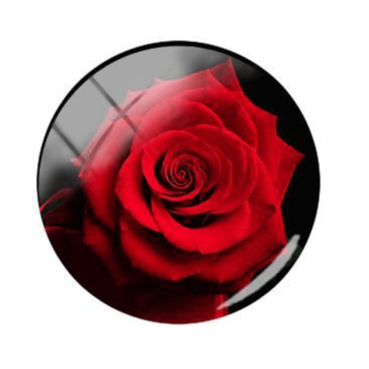 Sundaylace Creations & Bling Resin Gems 15mm Red Rose in Black background Acrylic Printed Circle, Glue on, Resin Gem