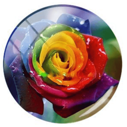 Sundaylace Creations & Bling Resin Gems 20mm Rainbow Rose Acrylic Printed Circle, Glue on, Resin Gem